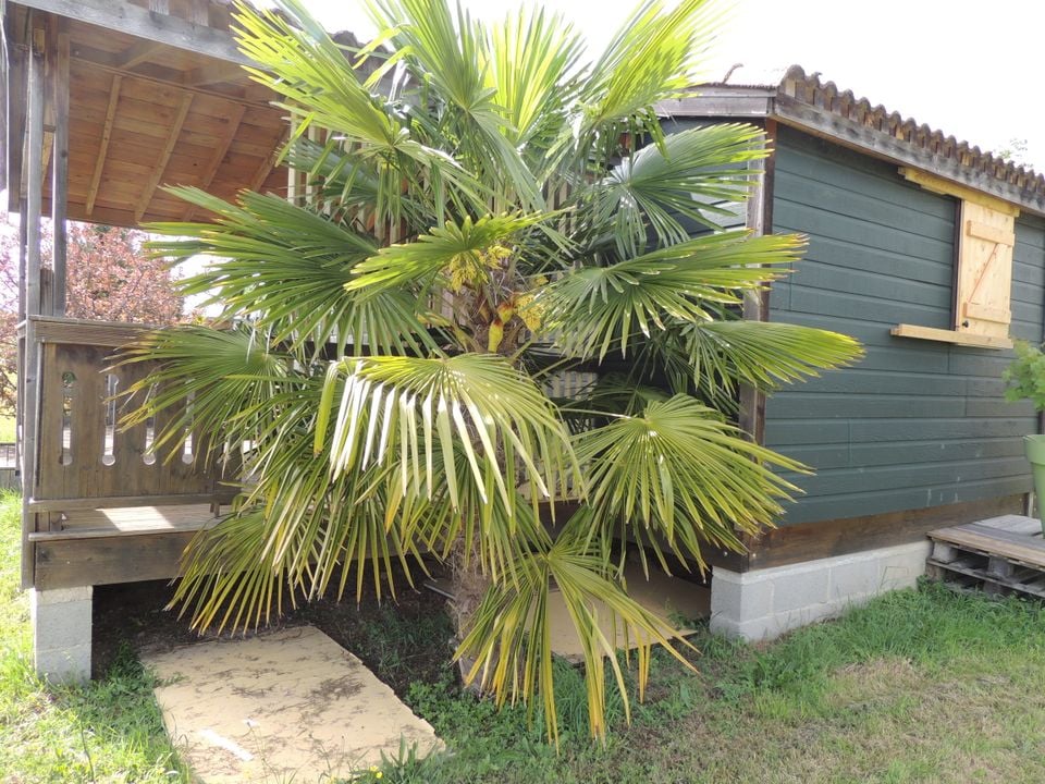 Les Chalets d'Auvergne (GITES EN CHALET) Auvergne - Chazemais visuel 10/42 Les Chalets d'Auvergne (GITES EN CHALET) Auvergne - Chazemais visuel 10/42