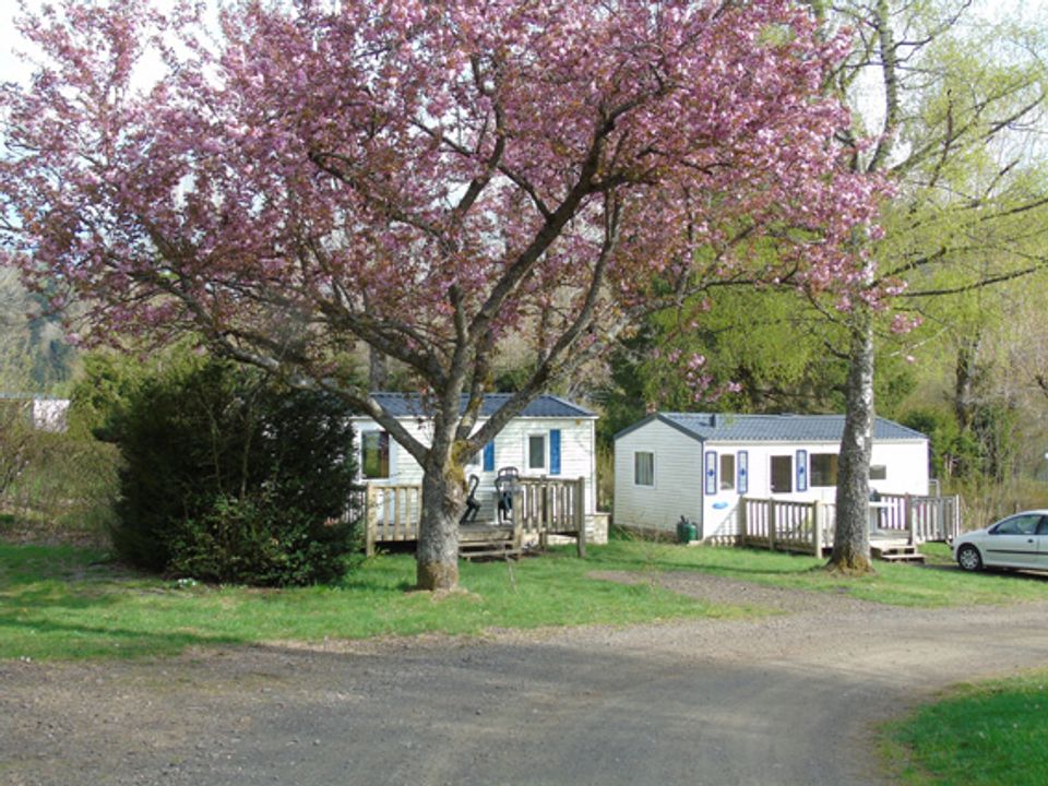 Camping - La Bourboule - Auvergne - Camping la Marmotte - Image #25