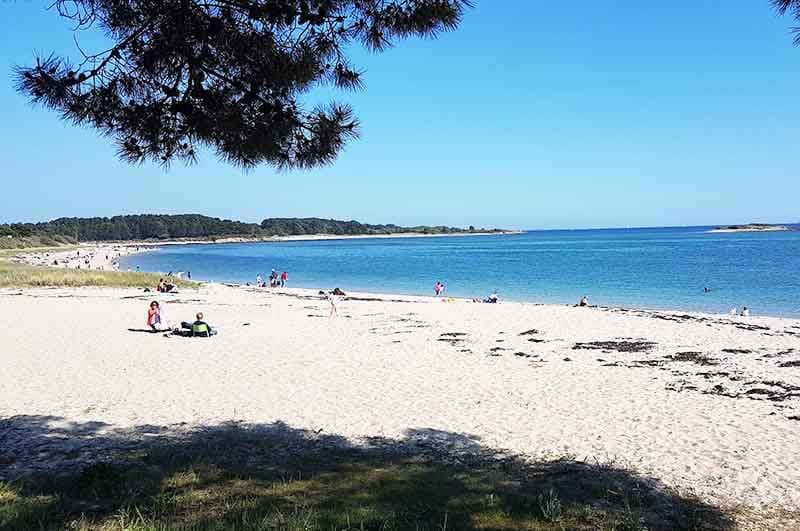 Camping - La Trinité-sur-Mer - Bretagne - Le Plijadur - Image #5