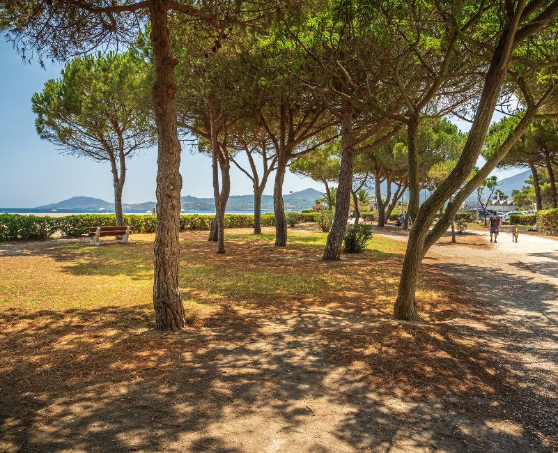 Beauséjour Languedoc-Roussillon - Argelès-sur-Mer visuel 14/33