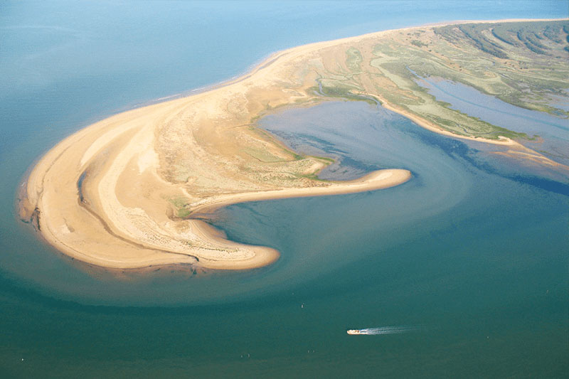 Le Pavillon Bleu Pays de Loire - La Faute-sur-Mer visuel 5/26