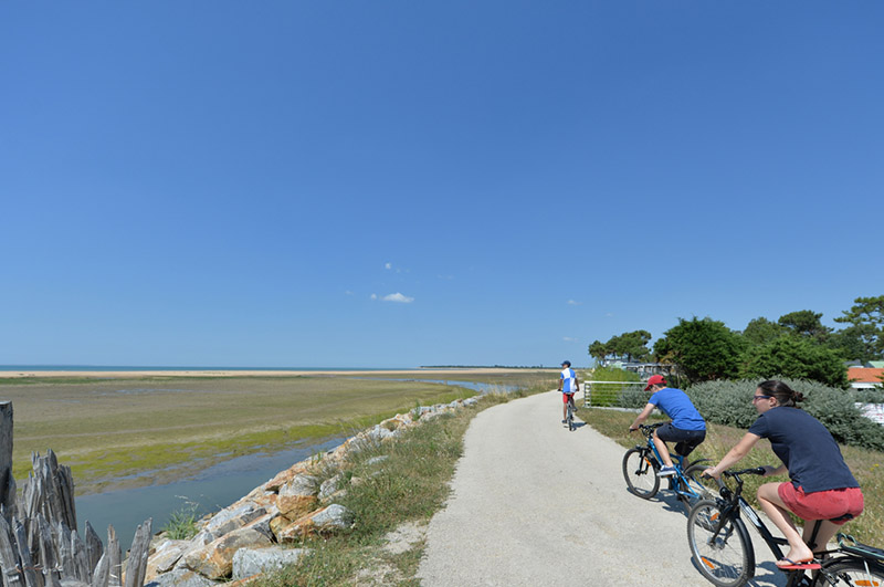 Le Pavillon Bleu Pays de Loire - La Faute-sur-Mer visuel 11/26