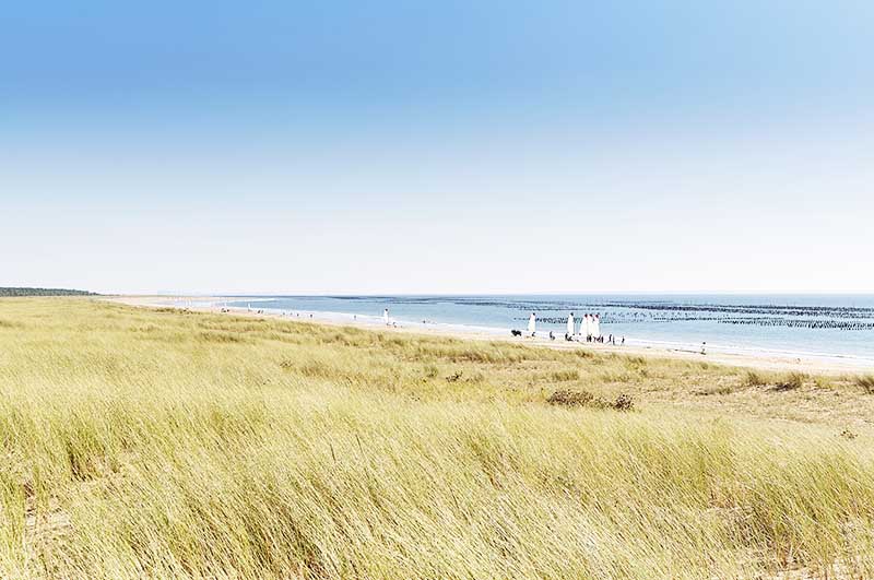Le Pavillon Bleu Pays de Loire - La Faute-sur-Mer visuel 13/26