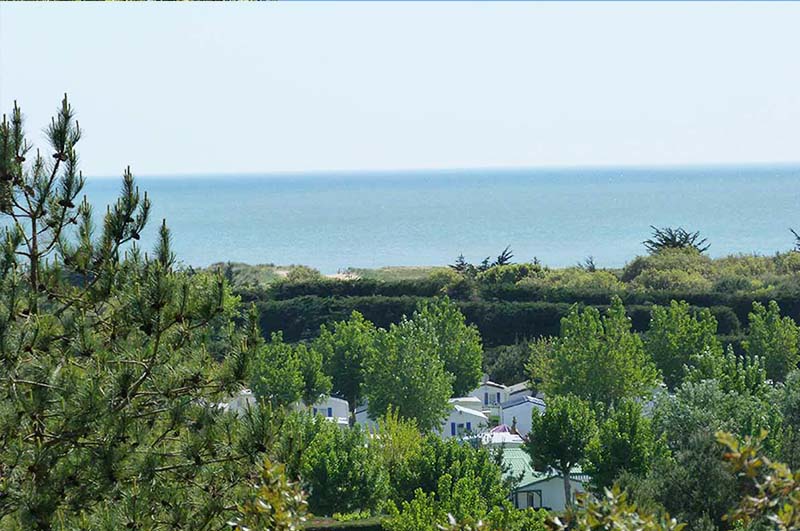 La Parée du Jonc Pays de Loire - Saint-Jean-de-Monts visuel 4/28