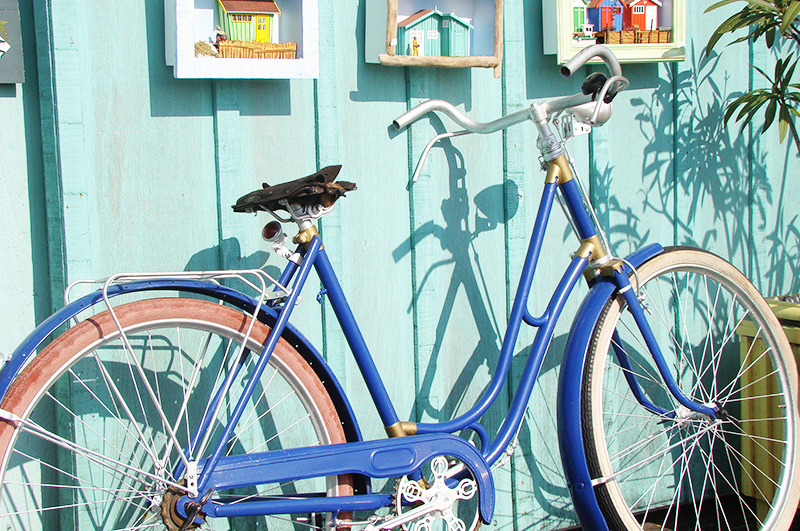 L'Anse des Pins Poitou-Charentes - Saint-Georges-d'Oléron visuel 13/24