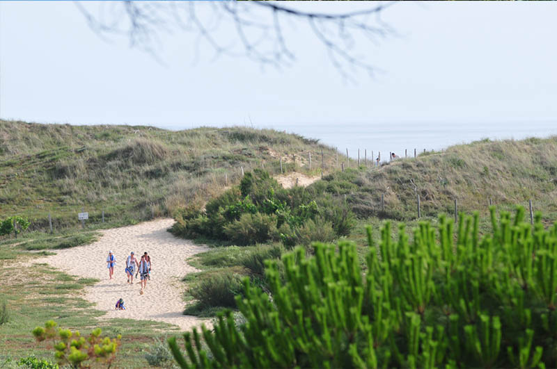 Antioche Poitou-Charentes - Le Bois-Plage-en-Ré visuel 4/31