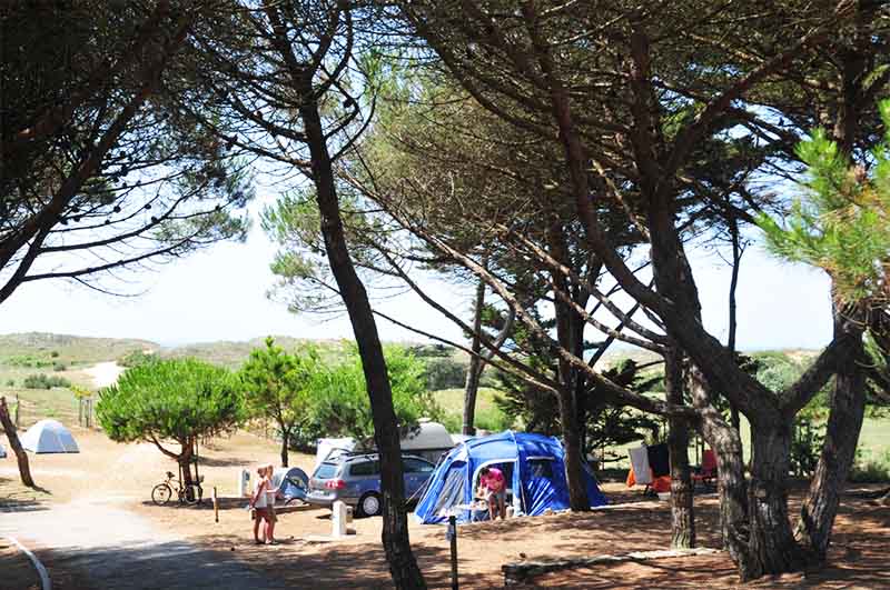 Antioche Poitou-Charentes - Le Bois-Plage-en-Ré visuel 11/31