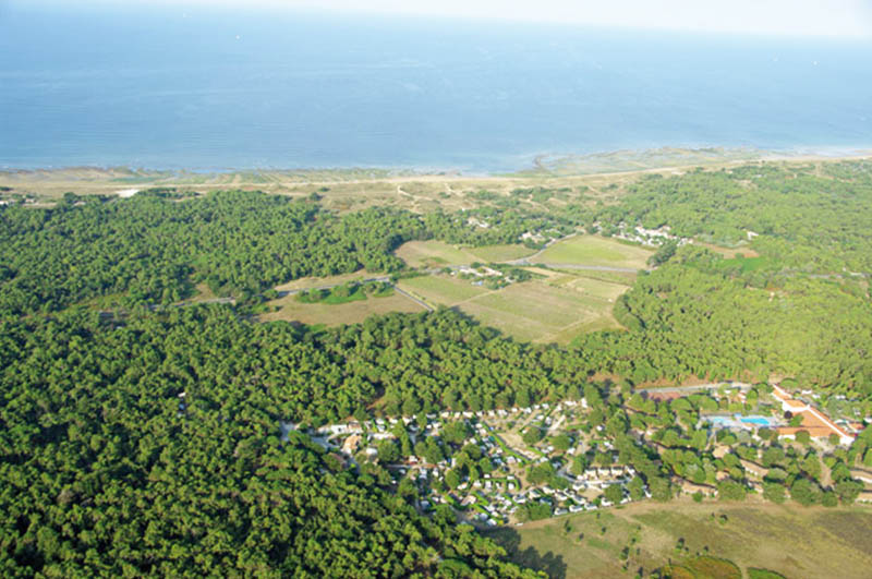 Au Val de Loire en Ré Poitou-Charentes - Le Bois-Plage-en-Ré visuel 5/20